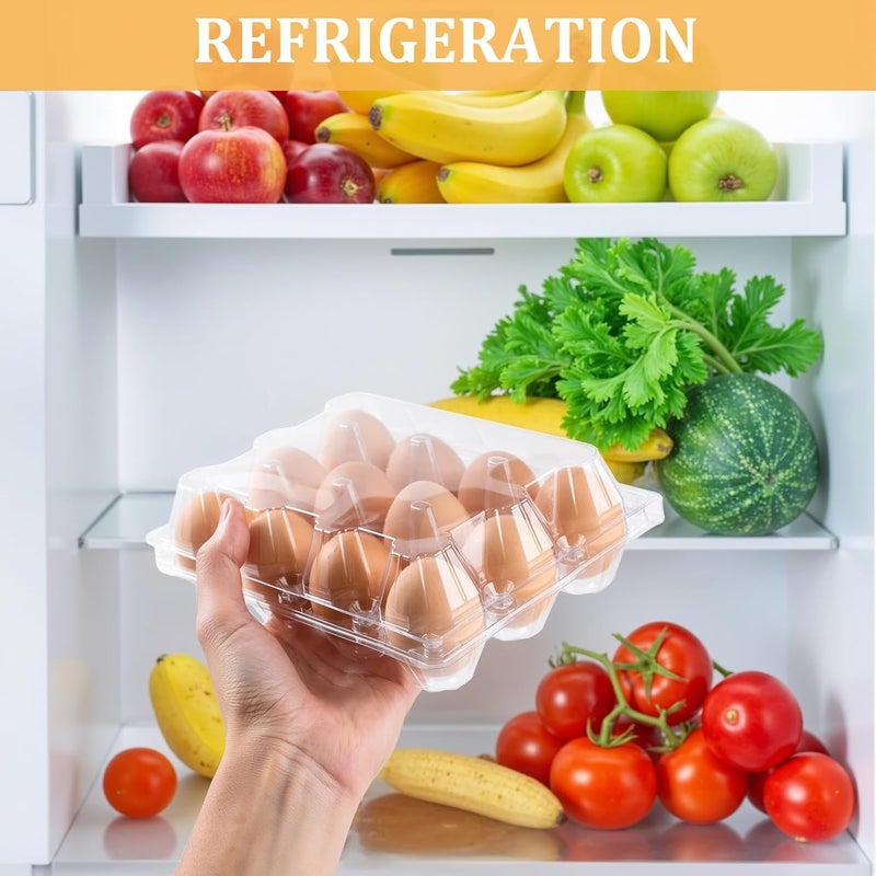 APOCHON 200PCS Clear Plastic Egg Cartons 6 Count,Half Dozen Egg Cartons Cheap Bulk for Chicken Eggs,Reusable Egg Holder for Family,Pasture,Farm Markets Display - Medium Egg Containers 2x3 Grids - Image 5